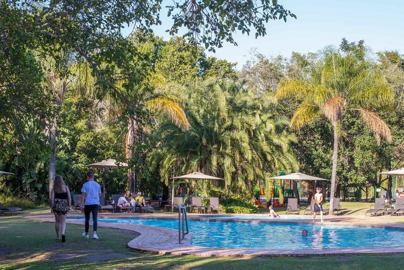 Kruger Park Lodge Unit No 611 Hazyview Mpumalanga South Africa Palm Tree, Plant, Nature, Wood, Swimming Pool, Person