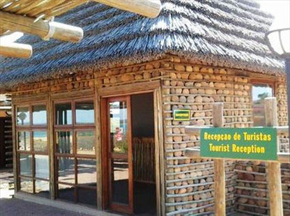 Mozambique Kruger And Limpopo Park Ultimate Safari South Kruger Park Mpumalanga South Africa 