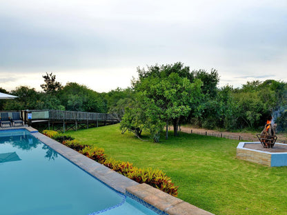 Kruger Safari Lodge, Garden, Nature, Plant, Swimming Pool