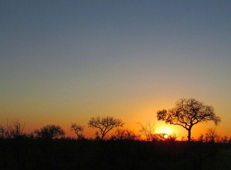 4 Night Kruger Three Park Tented Safari South Kruger Park Mpumalanga South Africa Sky, Nature, Sunset