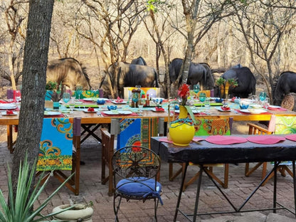 Kruger Wielewaal Rest Camp Marloth Park Mpumalanga South Africa Place Cover, Food