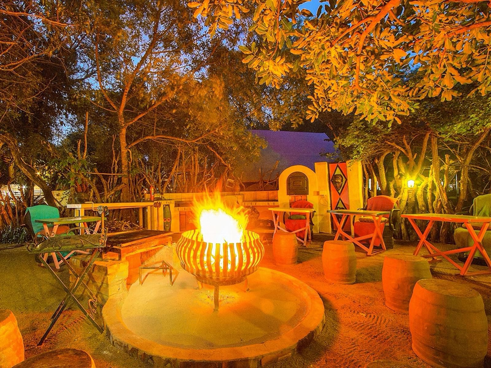 Kruger Wielewaal Rest Camp Marloth Park Mpumalanga South Africa Colorful, Fire, Nature