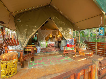 Zebra - Tent @ Kruger Wielewaal Rest Camp