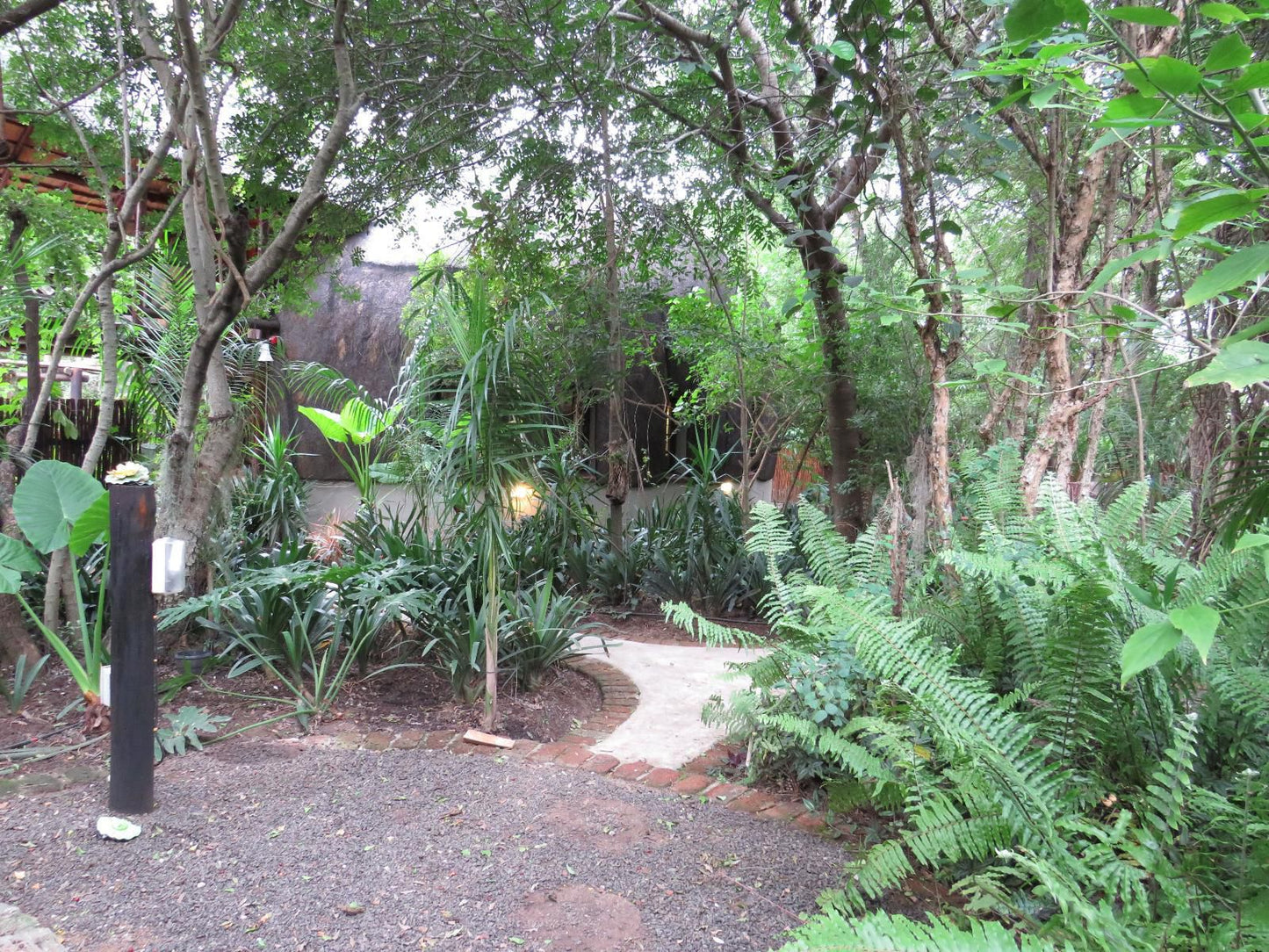 Kruger Maroela Lodge Marloth Park Mpumalanga South Africa Plant, Nature, Tree, Wood, Garden