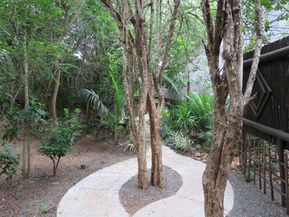 Kruger Maroela Lodge Marloth Park Mpumalanga South Africa Palm Tree, Plant, Nature, Wood, Tree, Garden