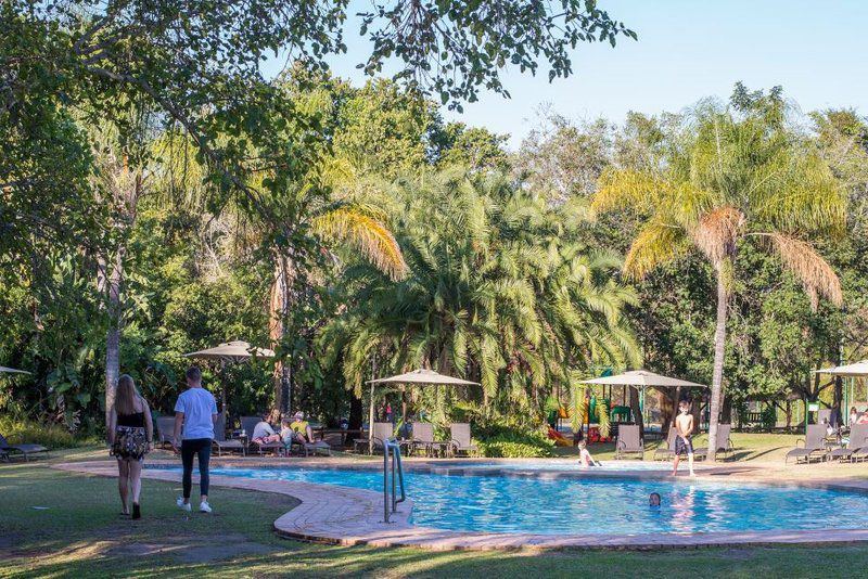 Kruger Park Lodge Unit No 610B Hazyview Mpumalanga South Africa Palm Tree, Plant, Nature, Wood, Swimming Pool, Person