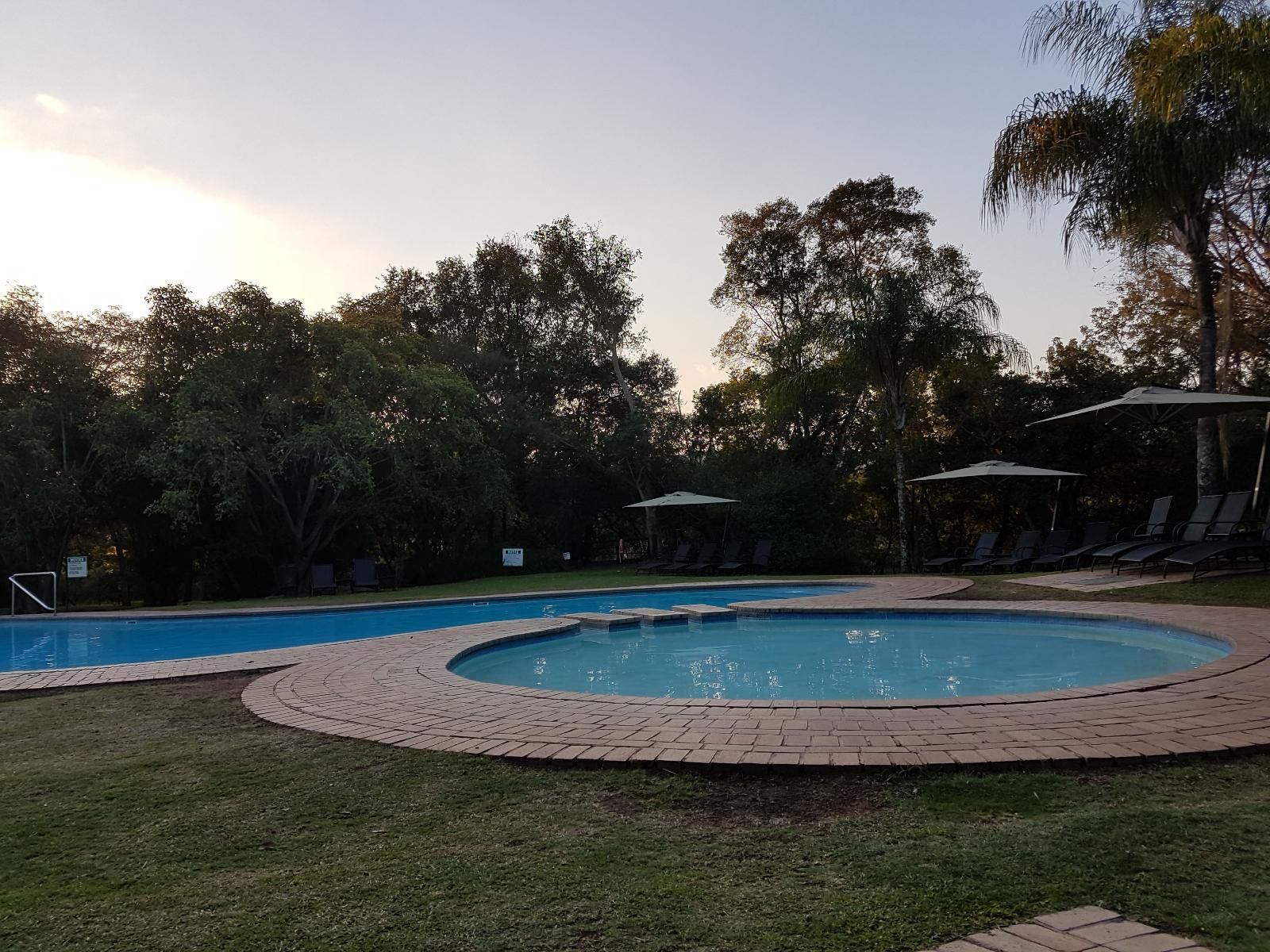 Kruger Park Lodge Chalet Shongwe Ingwe Hazyview Mpumalanga South Africa Palm Tree, Plant, Nature, Wood, Swimming Pool
