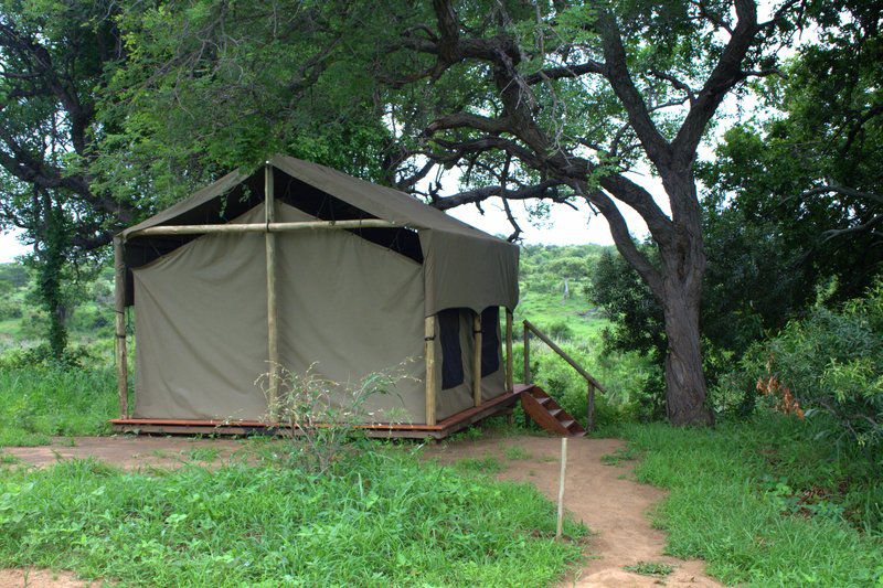 Kruger Private Bush Camp Timbavati Reserve Mpumalanga South Africa Tent, Architecture