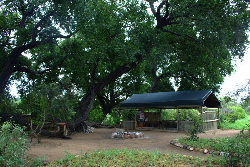 Kruger Private Bush Camp Timbavati Reserve Mpumalanga South Africa 