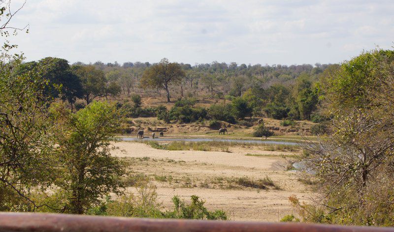 Kruger River Self Catering Marloth Park Mpumalanga South Africa River, Nature, Waters, Lowland