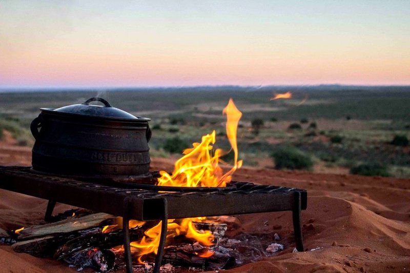 Krugersafaris Sa Central Kruger Park Mpumalanga South Africa Fire, Nature