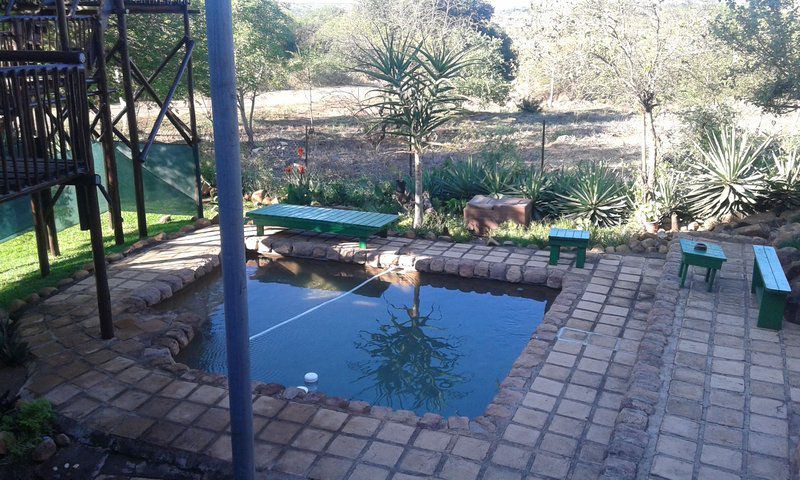 Kruger View Komatipoort Mpumalanga South Africa Palm Tree, Plant, Nature, Wood, Garden, Swimming Pool