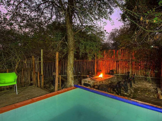 Kruger Wild Dog Inn Marloth Park Mpumalanga South Africa Complementary Colors, Garden, Nature, Plant, Swimming Pool