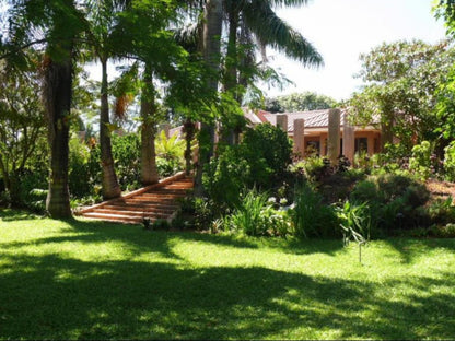 Ku De Ta B&B, Palm Tree, Plant, Nature, Wood, Garden