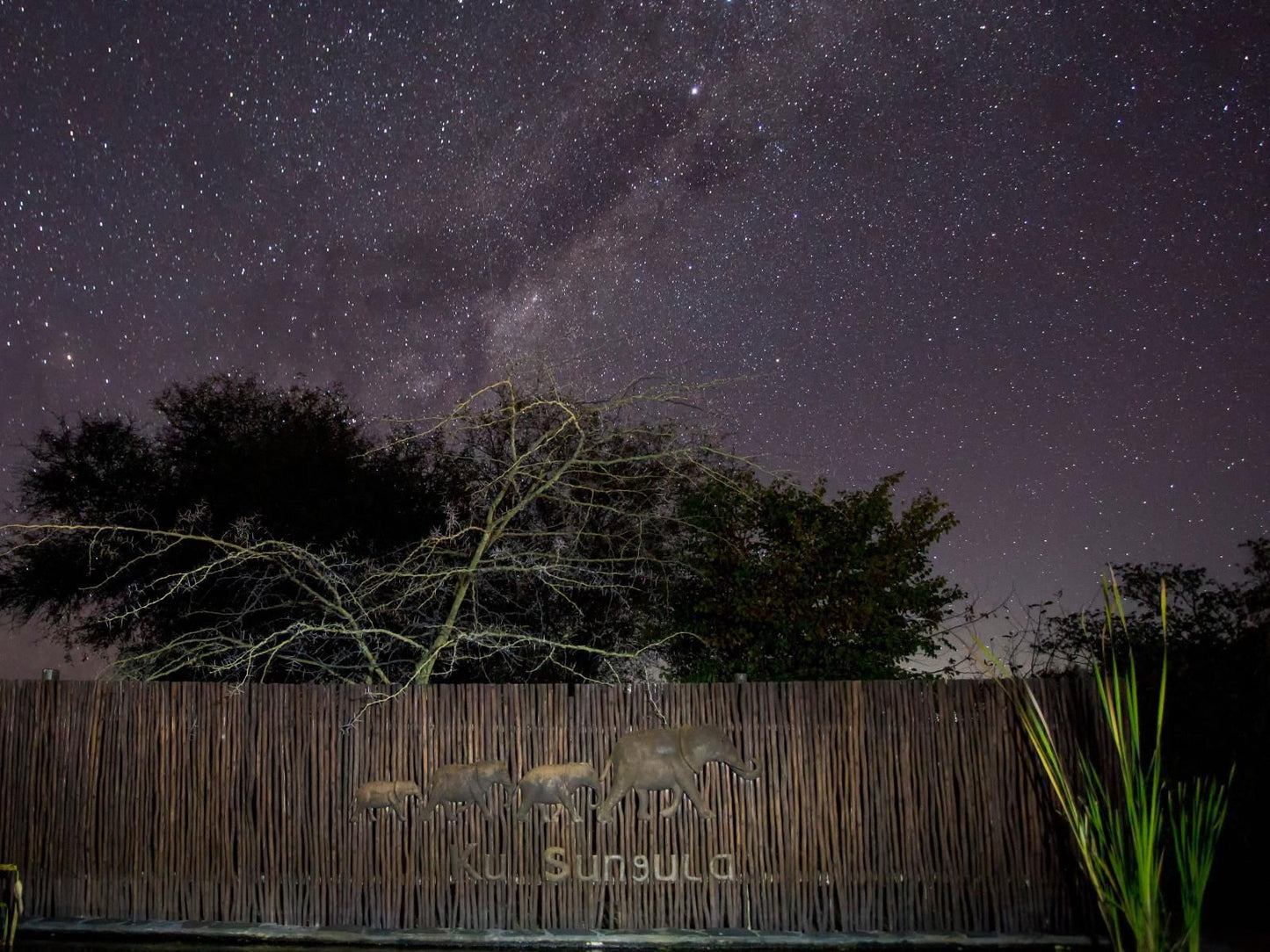 Ku Sungula Safari Lodge Balule Nature Reserve Mpumalanga South Africa Nature, Night Sky