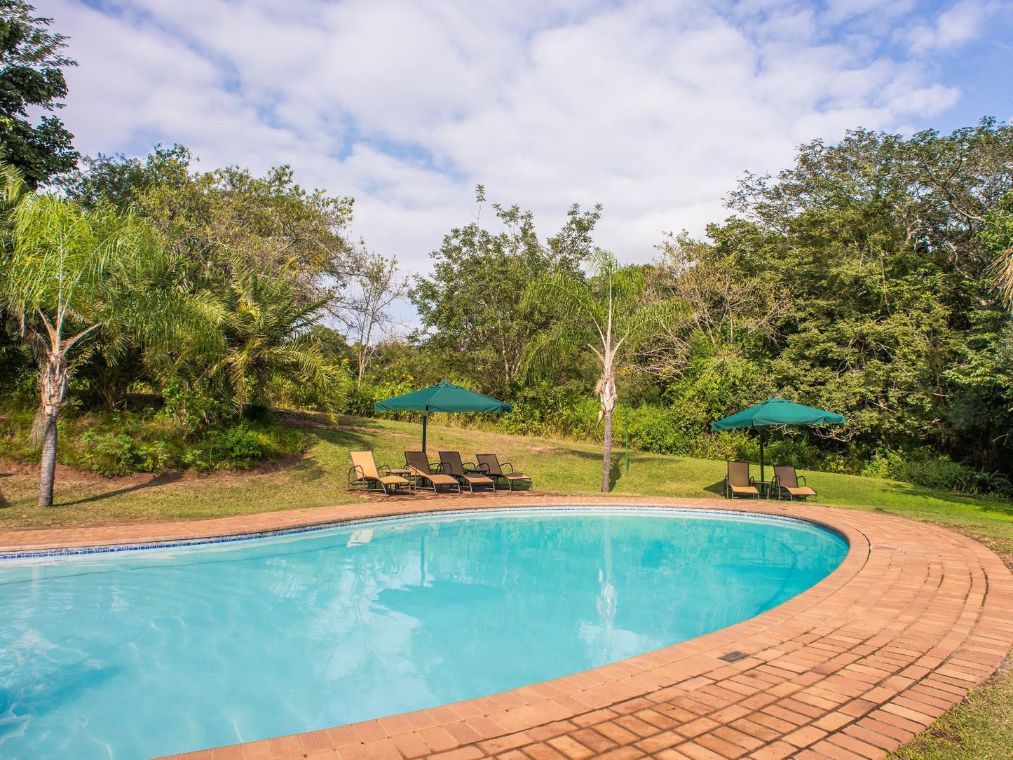 Qv Africa Collection Kubu Lodge Hazyview Mpumalanga South Africa Complementary Colors, Swimming Pool