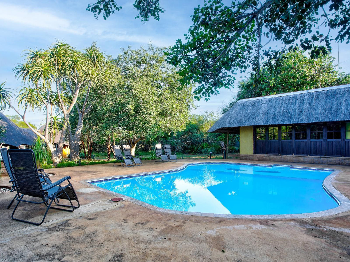 Kubu Safari Lodge, Swimming Pool