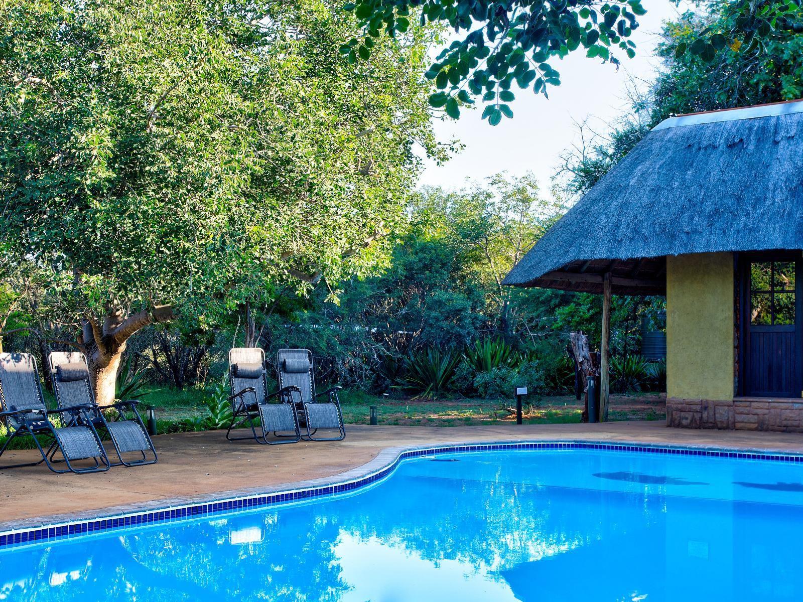 Kubu Safari Lodge, Swimming Pool