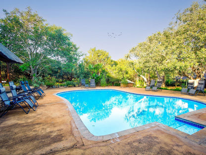 Kubu Safari Lodge, Garden, Nature, Plant, Swimming Pool