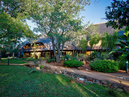 Kubu Safari Lodge, House, Building, Architecture, Palm Tree, Plant, Nature, Wood