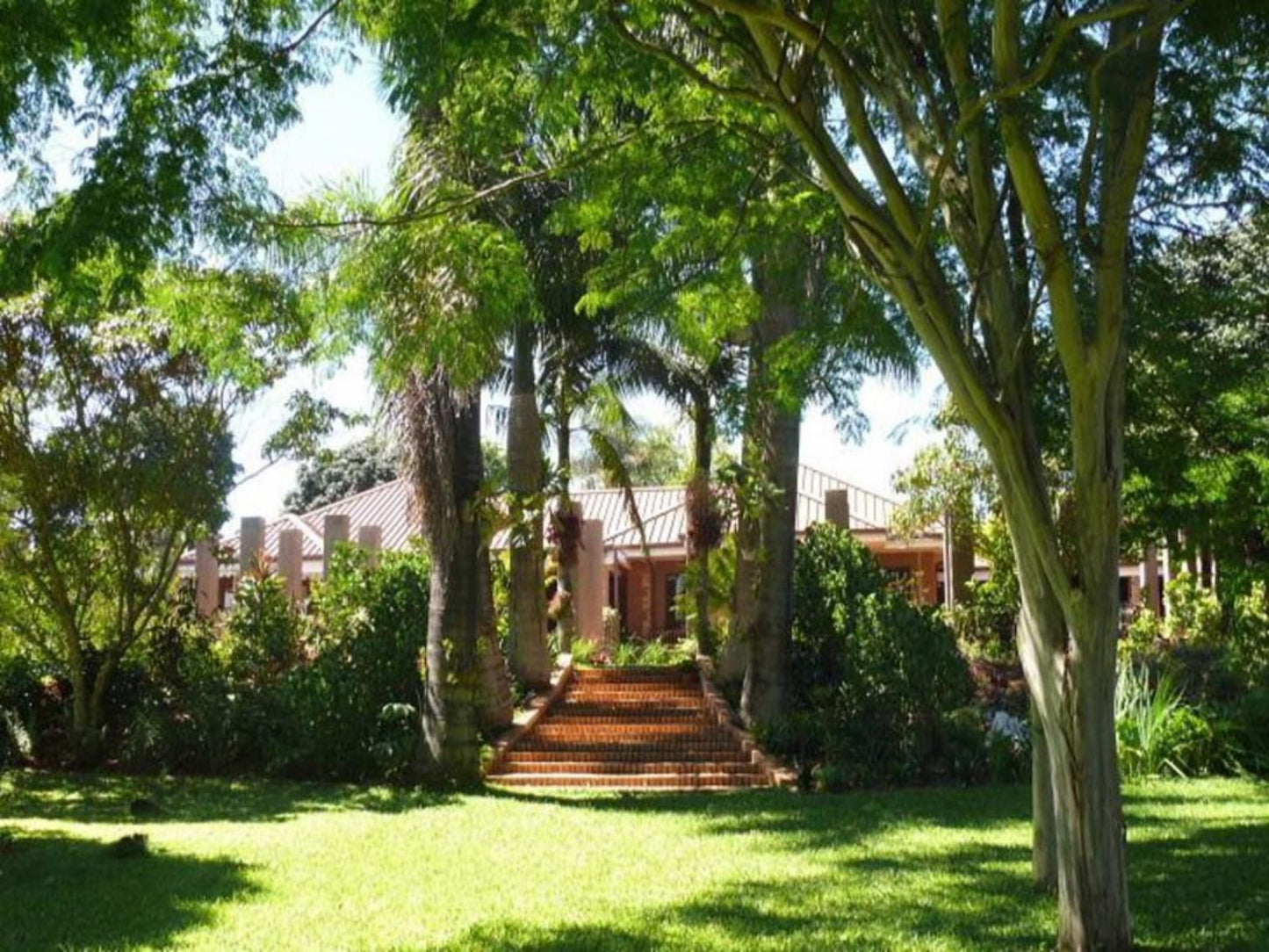 Kudeta B And B White River Mpumalanga South Africa House, Building, Architecture, Palm Tree, Plant, Nature, Wood, Garden