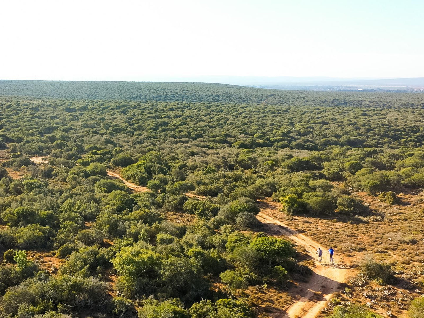 Kudu Ridge Game Lodge, Forest, Nature, Plant, Tree, Wood, Aerial Photography, Lowland