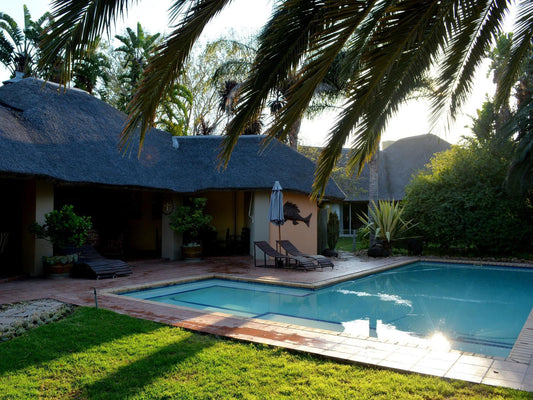 Kududu Guest House Sunland Eastern Cape South Africa House, Building, Architecture, Palm Tree, Plant, Nature, Wood, Swimming Pool