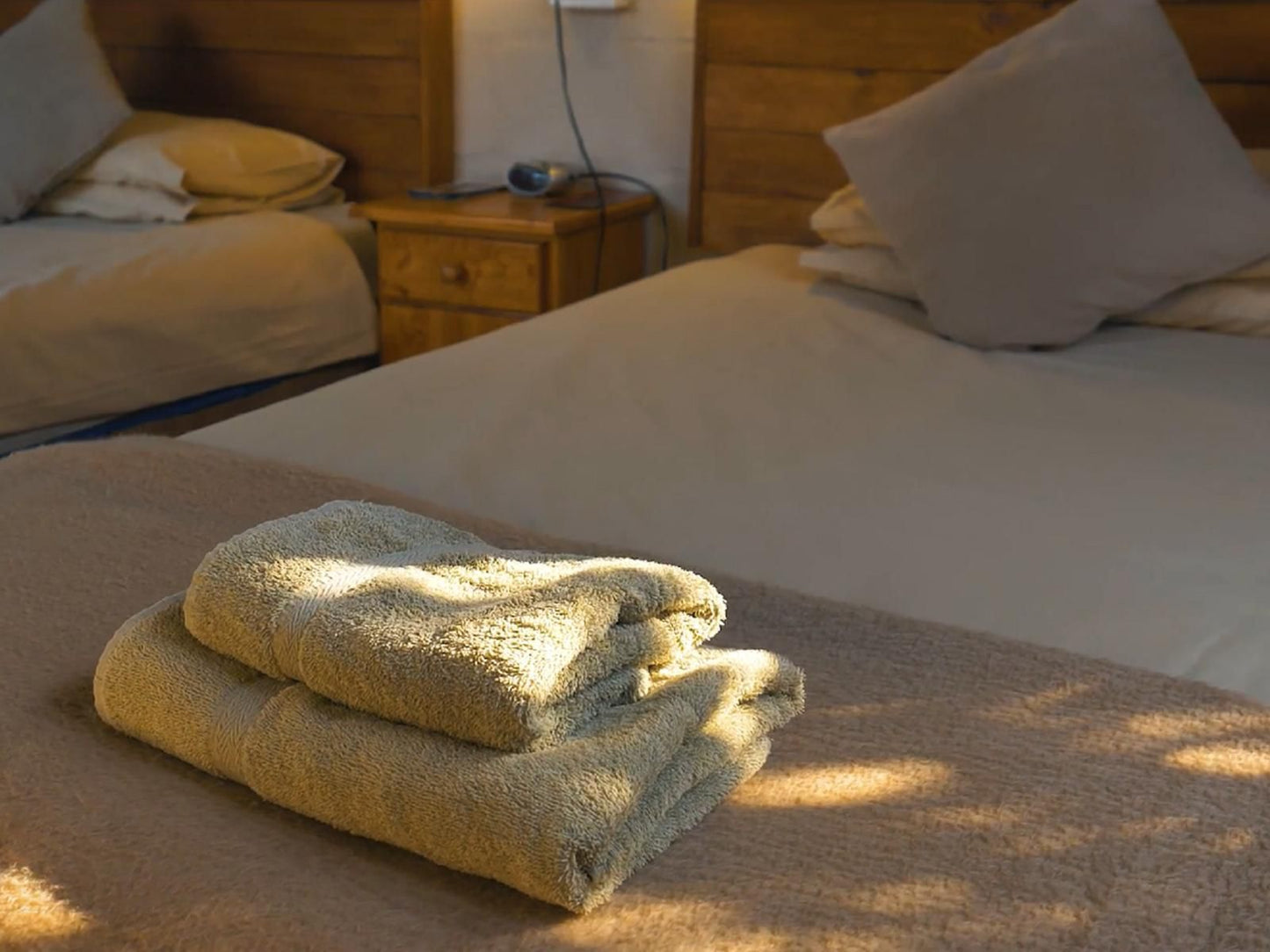 Kudu Ridge Game Ranch Addo Eastern Cape South Africa Sepia Tones, Bedroom