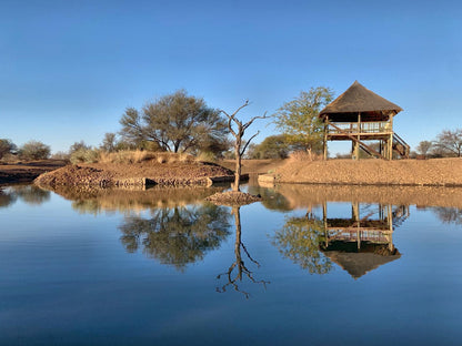 Kudus Rest Game Lodge Bela Bela Warmbaths Limpopo Province South Africa River, Nature, Waters, Framing