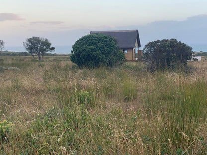 Kuierbos Farm Stay Gouritz Western Cape South Africa Field, Nature, Agriculture, Lowland