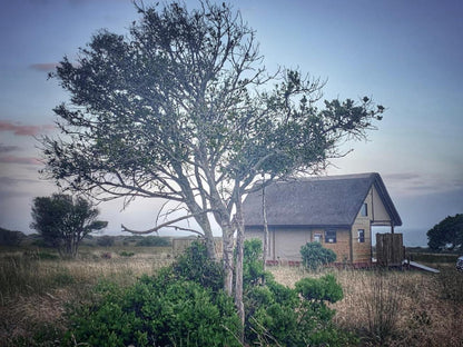 Kuierbos Farm Stay Gouritz Western Cape South Africa Building, Architecture, Tree, Plant, Nature, Wood