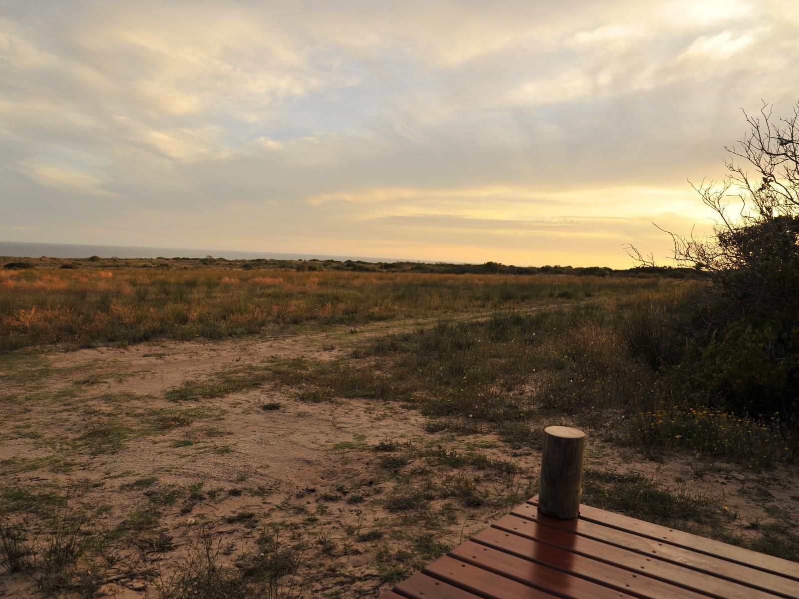 Kuierbos Farm Stay Gouritz Western Cape South Africa Sepia Tones, Lowland, Nature