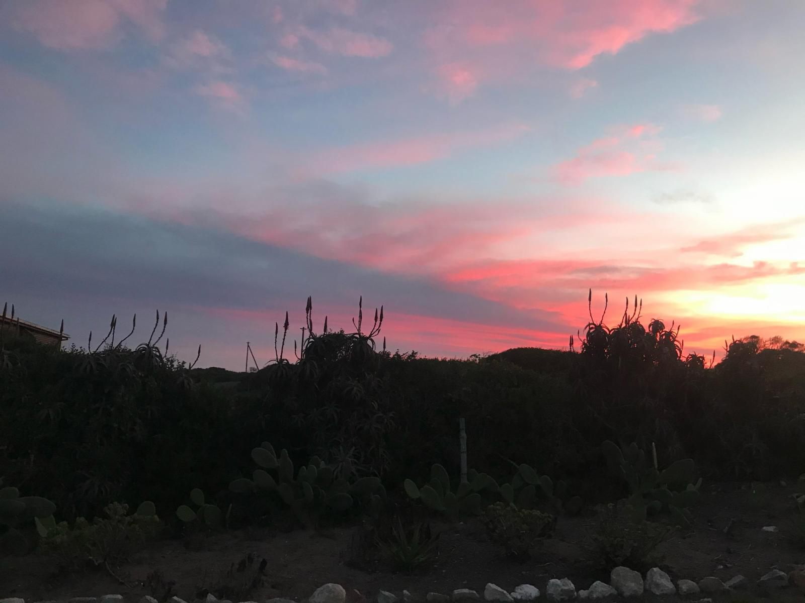 Kuierbos Farm Stay Gouritz Western Cape South Africa Cactus, Plant, Nature, Sky, Sunset