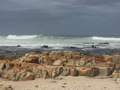 Kuierbos Farm Stay Gouritz Western Cape South Africa Beach, Nature, Sand, Wave, Waters, Ocean