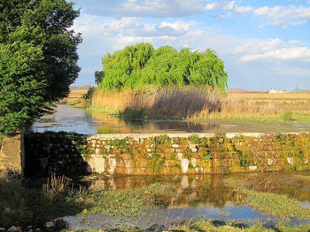 Kuilfontein Guest Farm And Farm Stall Springfontein Free State South Africa Complementary Colors, River, Nature, Waters, Tree, Plant, Wood, Lowland