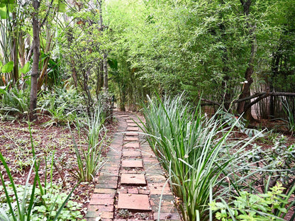 Kulanga Cottages Bed And Breakfast Linden Johannesburg Gauteng South Africa Plant, Nature, Garden