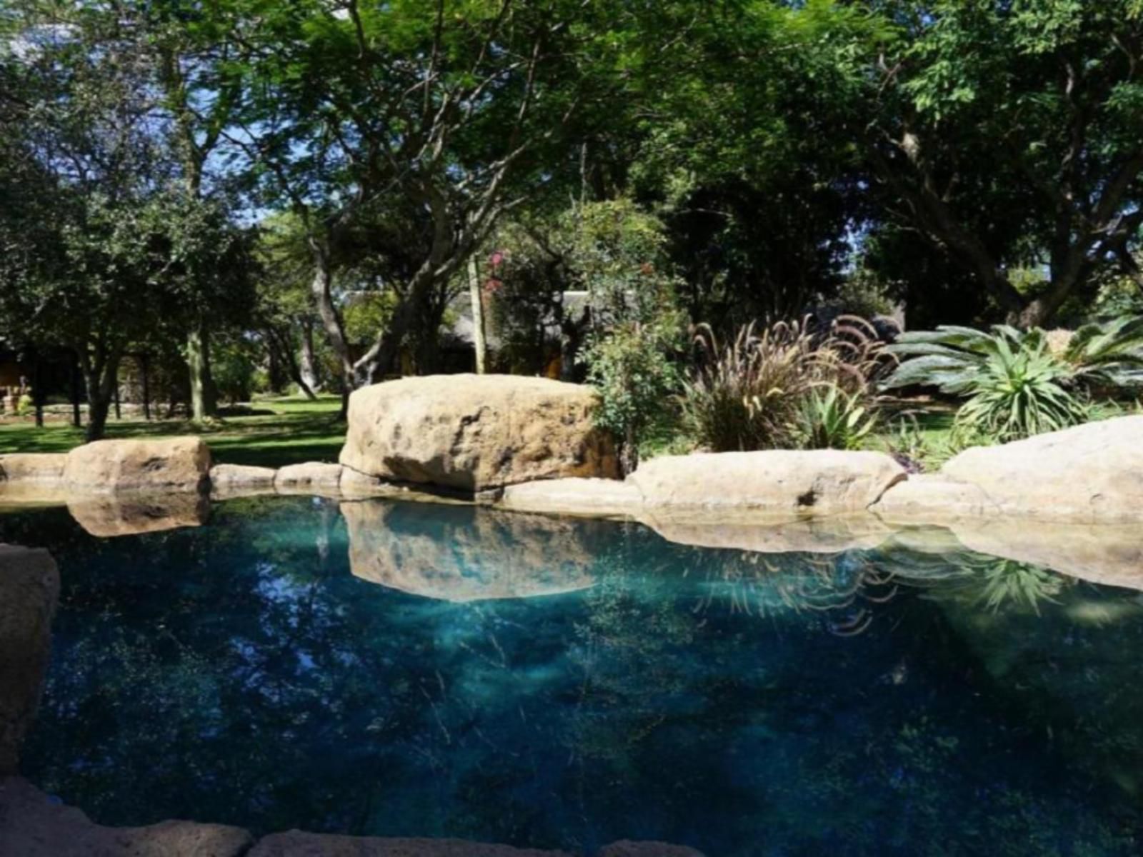 Kum Kula Lodge Kapama Reserve Mpumalanga South Africa Garden, Nature, Plant, Swimming Pool