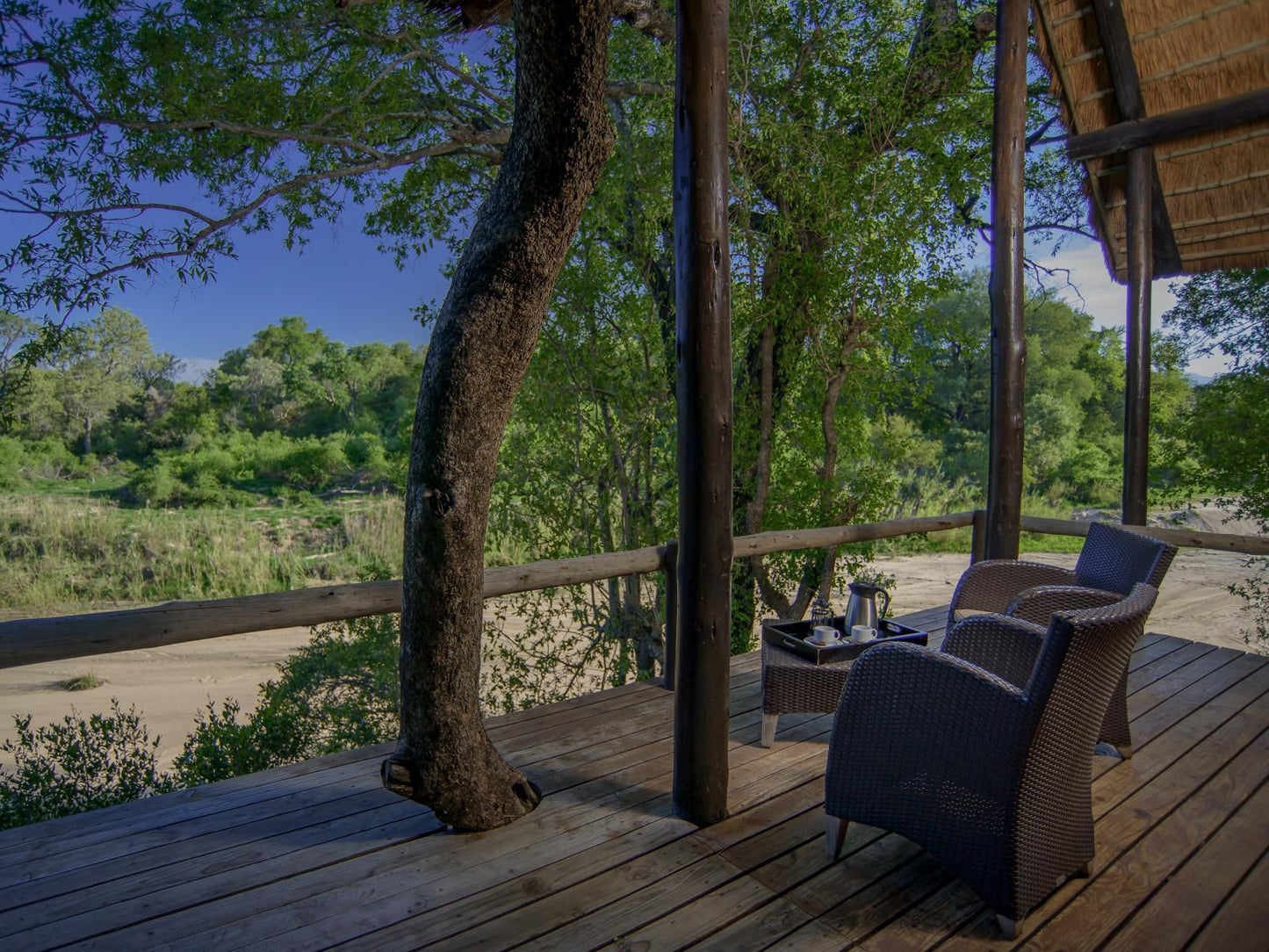 Kuname Lodge Karongwe Private Game Reserve Limpopo Province South Africa 