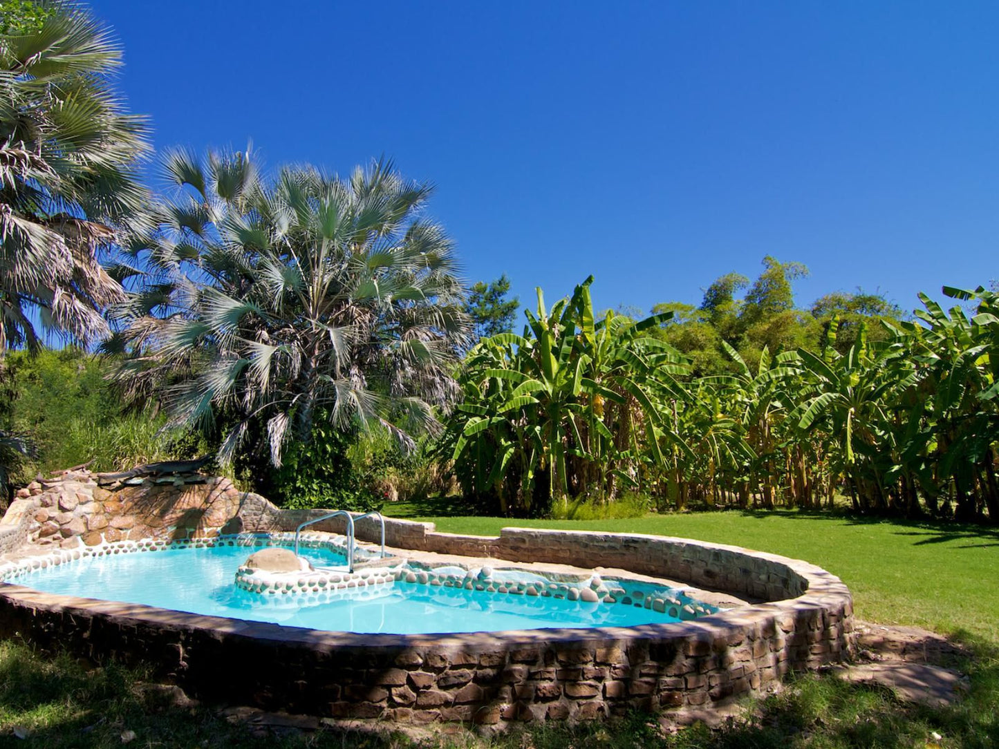 Kunene River Lodge, Palm Tree, Plant, Nature, Wood, Swimming Pool