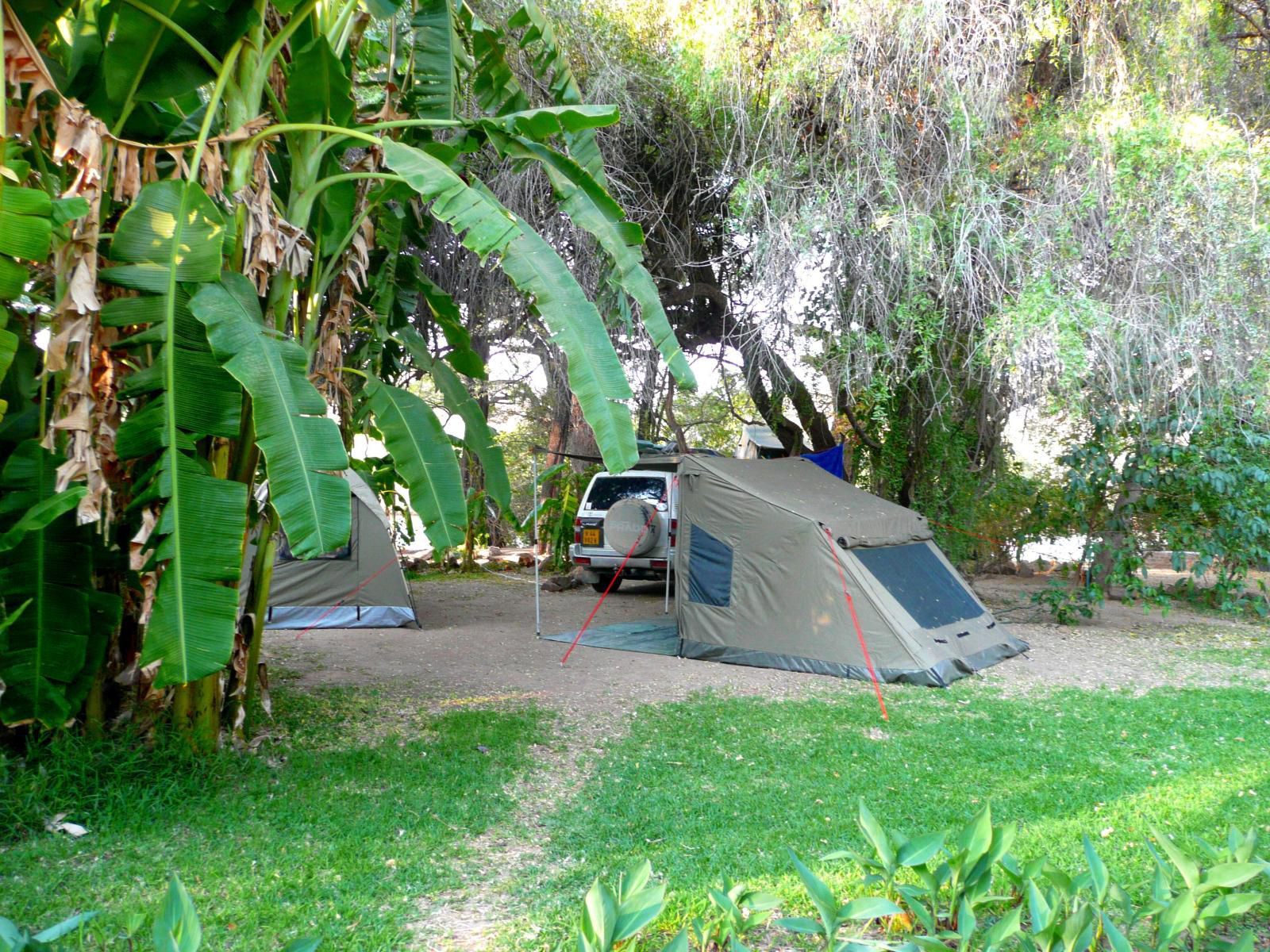 Kunene River Lodge, Campsite for Tents (Max 20 Person), Palm Tree, Plant, Nature, Wood, Tent, Architecture