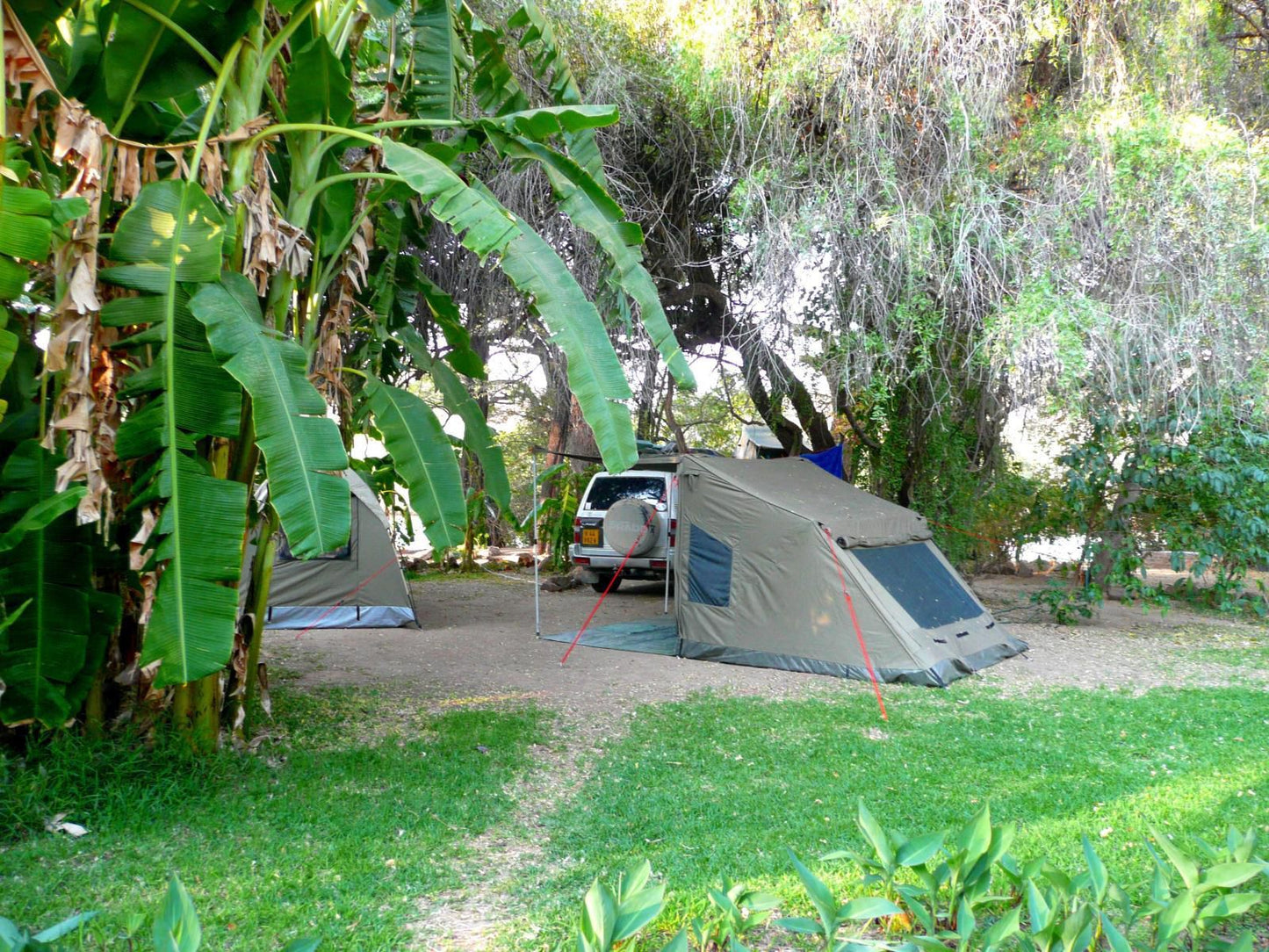 Kunene River Lodge, Deluxe Room 2, Palm Tree, Plant, Nature, Wood, Tent, Architecture