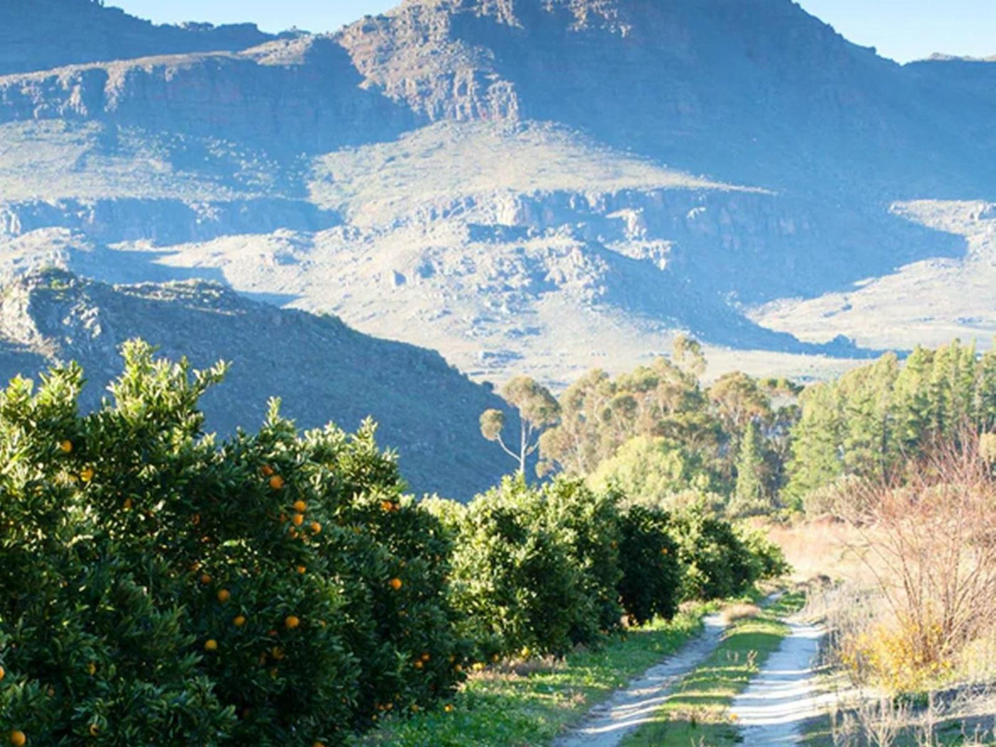 Kunje Guest Farm, Mountain, Nature