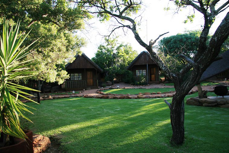 Kunkura Game Lodge Lephalale Ellisras Limpopo Province South Africa Plant, Nature