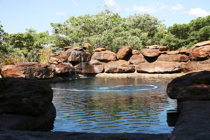 Kunkura Game Lodge Lephalale Ellisras Limpopo Province South Africa Reptile, Animal, River, Nature, Waters