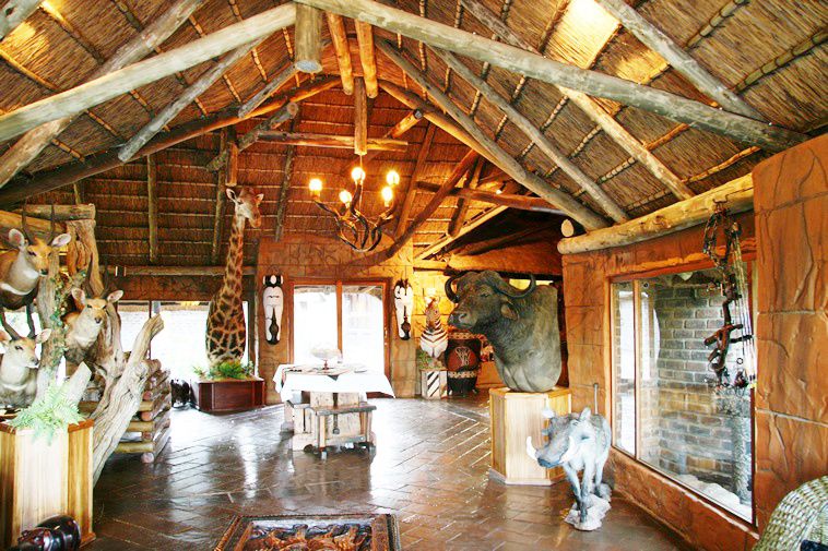 Kunkura Game Lodge Lephalale Ellisras Limpopo Province South Africa 