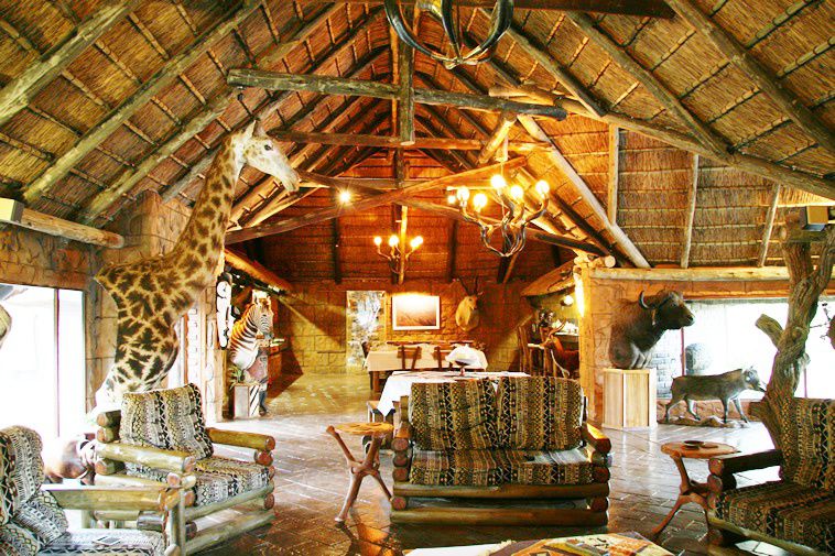 Kunkura Game Lodge Lephalale Ellisras Limpopo Province South Africa 