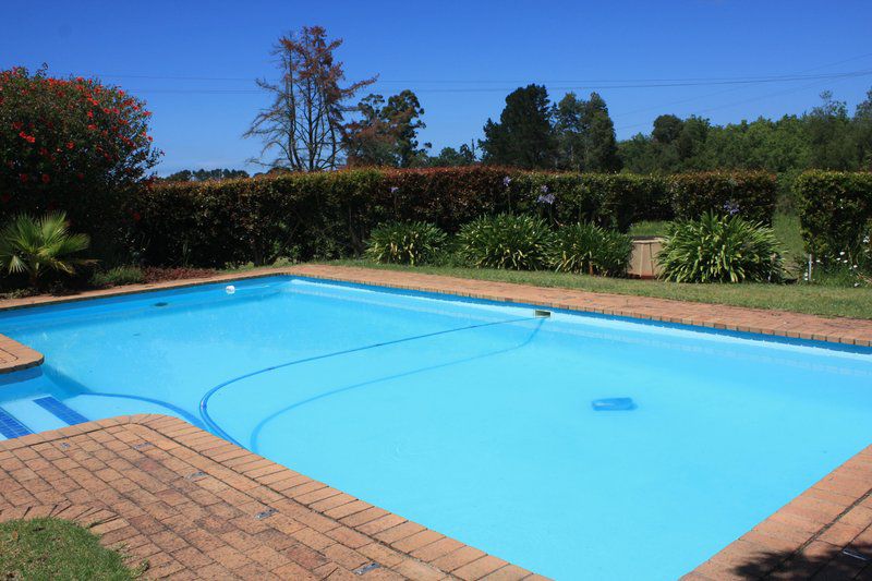 Kurlandpark Accommodation Kurland Western Cape South Africa Complementary Colors, Swimming Pool