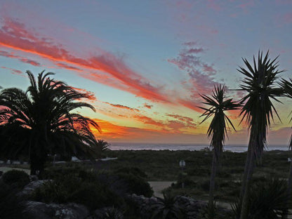 Kwaaibaai View Jacobs Bay Western Cape South Africa Beach, Nature, Sand, Palm Tree, Plant, Wood, Sunset, Sky