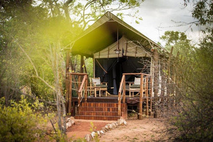 Kwafubesi Tented Safari Camp Mabula Private Game Reserve Limpopo Province South Africa 