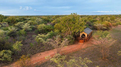 Kwafubesi Tented Safari Camp Mabula Private Game Reserve Limpopo Province South Africa Complementary Colors